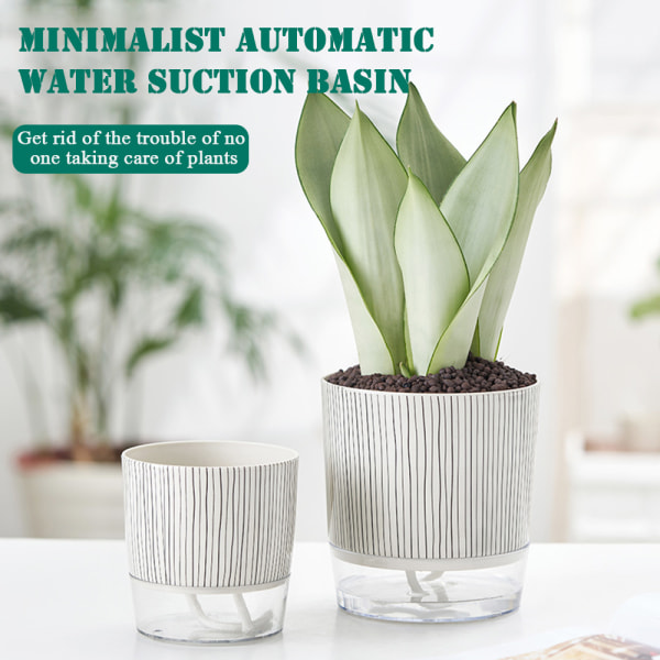 Transparent bas plast självvattnande blomkruka Bra dränerande Återställbar blomkruka för växtsuckulenter Zebra