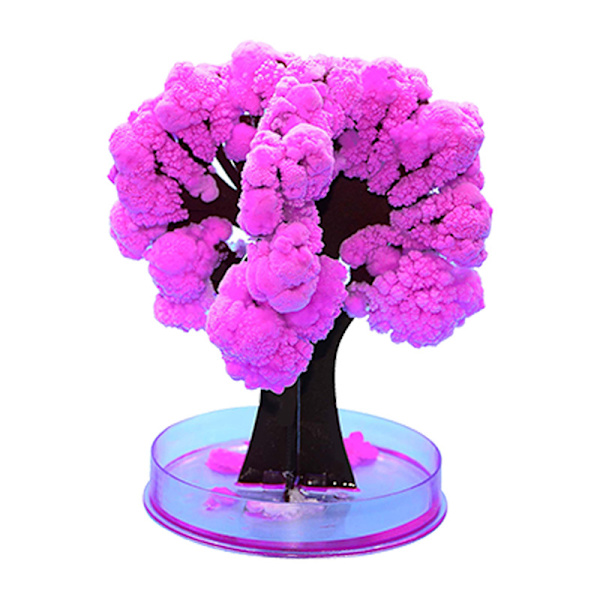 Kristalliserat julgran Intressant romantiskt växande blommande julgran för barn barn Cherry Tree