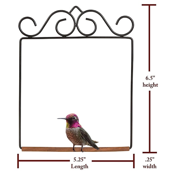 Hummingbird Swing Rostbeständig metallram Hummingbird Abborre för utomhus gräsmatta trädgård A