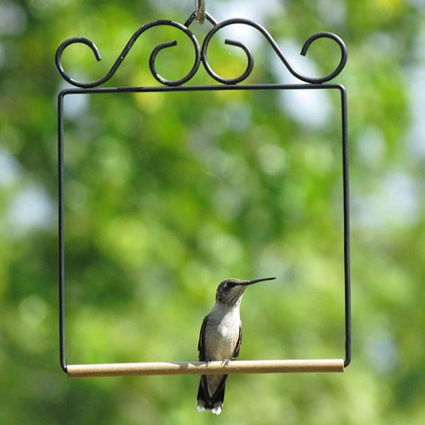 Hummingbird Swing Rostbeständig metallram Hummingbird Abborre för utomhus gräsmatta trädgård A