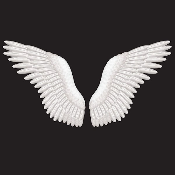 Halloween 3D Angel Devil Big Wing Carnival Party Performance Prop för män kvinnor Black