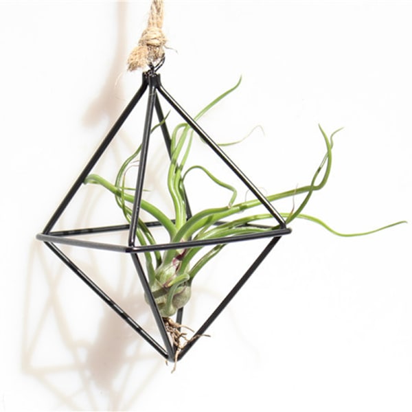 Enkelt Mini Iron Flower Stand Suckulent Blomsterhylla Blomkruka För Desktop Balkong Dekoration Gold With Ring