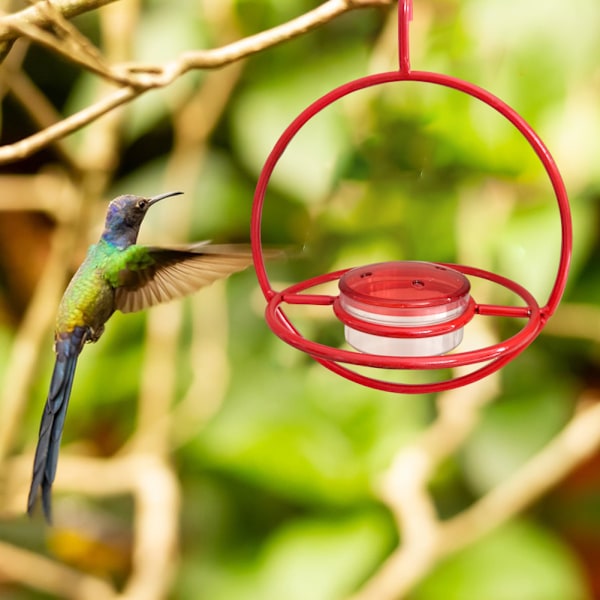 Metal Circle Birds Matare för kolibrier Utomhus sällskapsdjur Fåglar matningshållare för inomhus utomhusdekoration Black