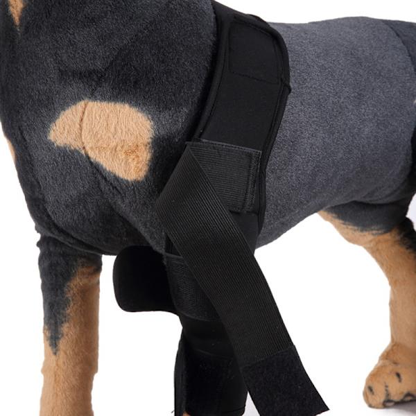 Hundbensskydd för framben, kompressionsbandage, ger extra stöd för hasleden, justerbar, hundvård Black Second Generation S