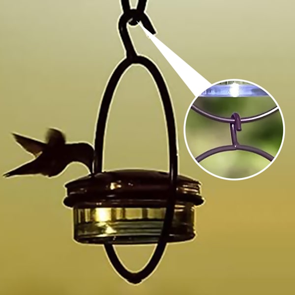 Metal Circle Birds Matare för kolibrier Utomhus sällskapsdjur Fåglar matningshållare för inomhus utomhusdekoration Black