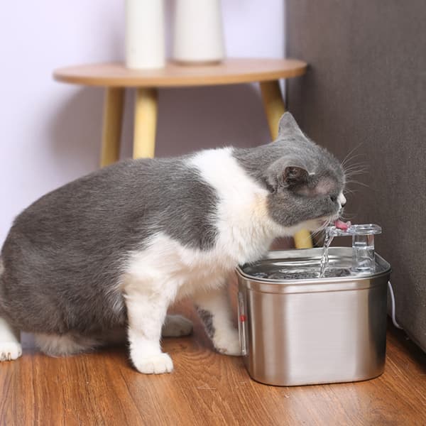 Rostfritt stål Cat Pet Water Fontän Läcksäker matningsvattenmatare för katthundar husdjur Basic Model