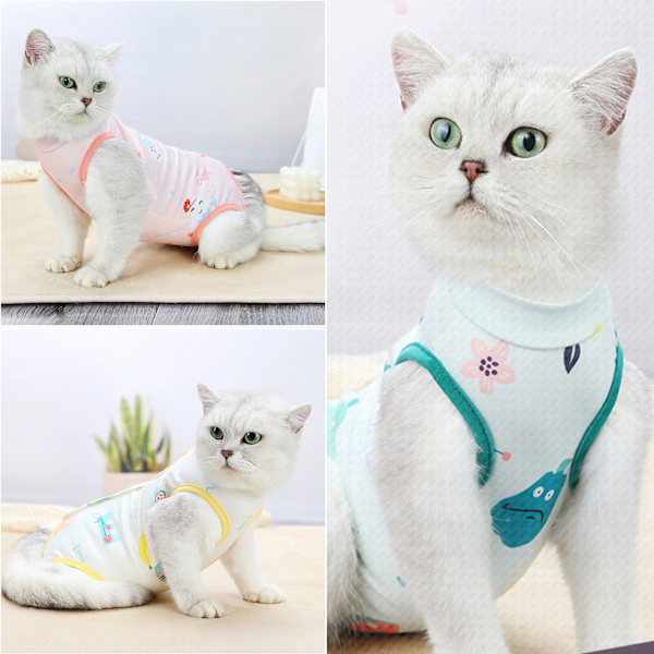 Cat Recovery Suit Katt efter operation Återhämtningsdräkt Husdjurssteriliseringsväst Green M