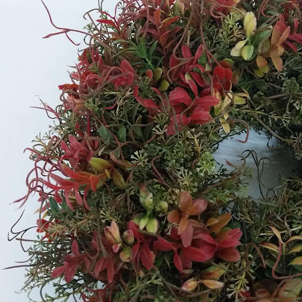 Höst Eucalyptus bondgård krans ring hängande dörr dekoration för vägg fönster bröllopsfest C