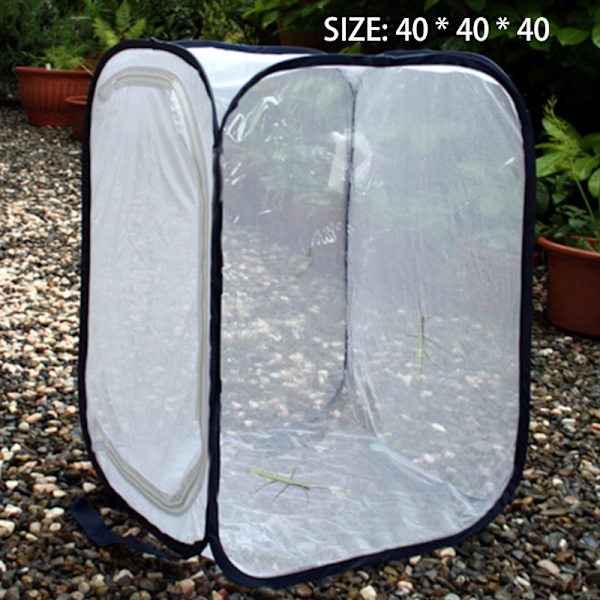 Vikbar Insekt Habitat Bur Fröplanta Ljusöverföring Nettält Växthus 40*40*60