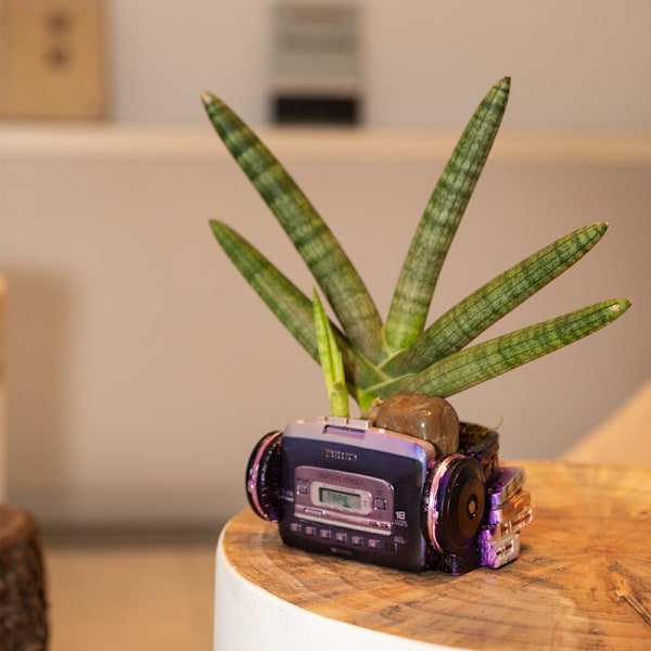Kreativ blomkruka Retro Walkman Headset Design Suckulent Bonsai Plant Hållare Skrivbord Mini Kruka Ornament För Hem Bord Purple