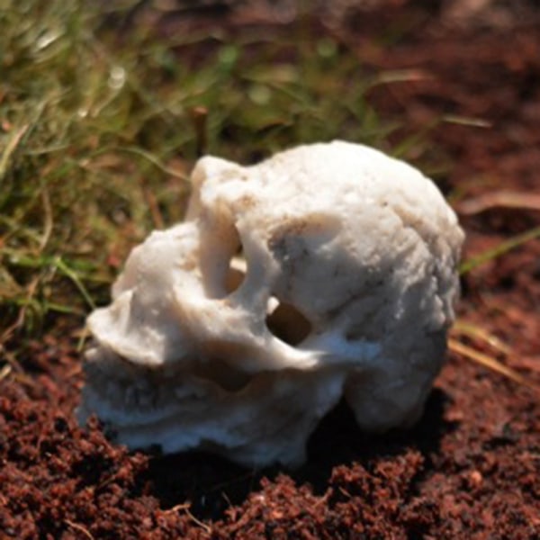 Halloween figurer dekorationer Resin liten skalle Akvarium dekor för akvarium prydnad Orangutan Skull