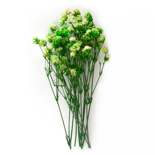 Gypsophila torkad blombukett Tillbehör för alla hjärtans dag presenter grönska dekor 6green