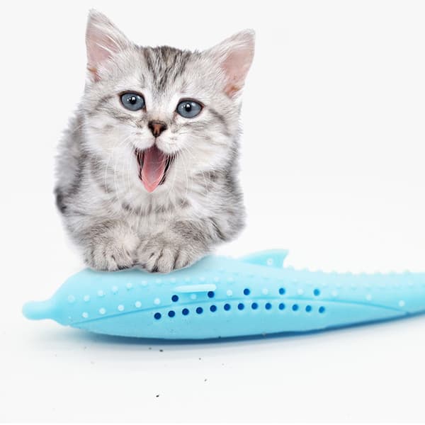 Katt Silikon Delfinformade Molar Leksaker Smart Interaction Mint Pet Leksaker Slipa tänder läcker mat Tuggleksaker Pink