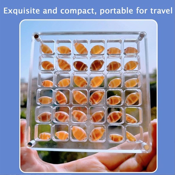 Akryl Seashell Display Box med magneter Slitstark sjöstjärnor Trinket case för pärlspik 36 Grid