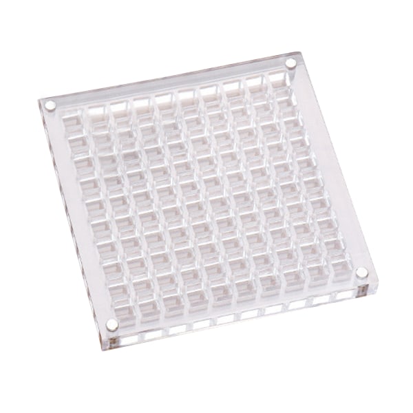 Akryl Seashell Display Box med magneter Slitstark sjöstjärnor Trinket case för pärlspik 100 Grid