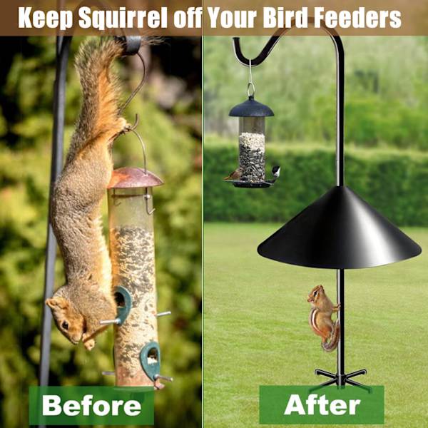 Squirrel Baffle Birds Feeder Proof Guard skyddar hängande matare