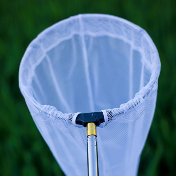 Teleskopiskt fjärilsnät Utdragbart mesh för utomhusaktiviteter i trädgården White