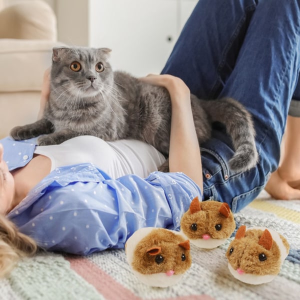 Drag-snöre Katter Leksak Bärbar Intelligent Rörlig Katt Leksak för huset Dark