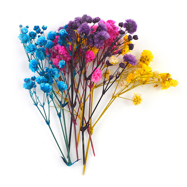 Gypsophila torkad blombukett Tillbehör för alla hjärtans dag presenter grönska dekor 4mixed Color