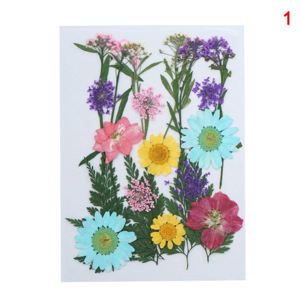 20-25 st/förpackning Riktiga torkade pressade blommor Bladväxt Blandade färgglada blomblad Kronblad För gör-det-själv-hantverk Make-up