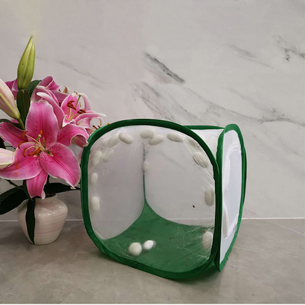 Vikbar Insekt Habitat Bur Fröplanta Ljusöverföring Nettält Växthus 60*60*90