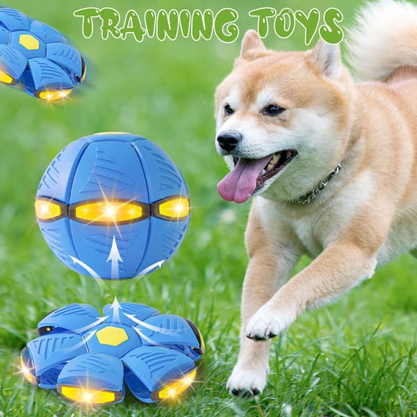 Hund studsande boll leksak Stomp Pet Interactive Flying Discs leksak med ljus för utomhusbruk Red 6 Lights
