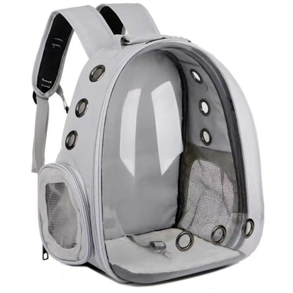 Husdjursryggsäck Bärbar lätt transportväska för hundar Katt andas mesh för utomhusutflykter Green Expansion