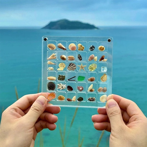 Akryl Magnetisk Seashell Display Box Multi-purpose Craft Dekorativt ställ för ädelstenar