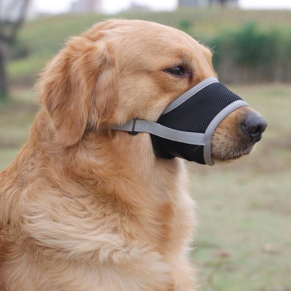 Anti-bite Mesh Nosparti För Hund Justerbart Andas Hund Cover För Utomhus Grey M