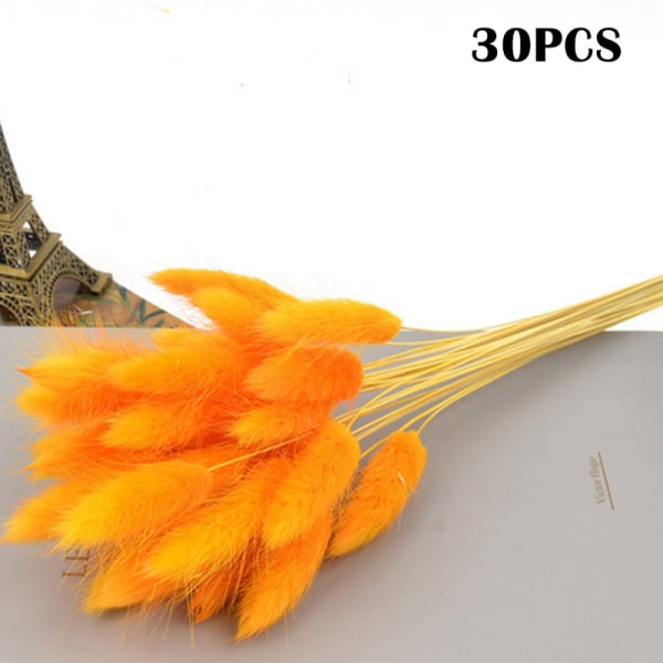 Färgglada torkade blommor evig bukett Riktiga blommor för heminredning Fotografi rekvisita 30 st/bunt Orange
