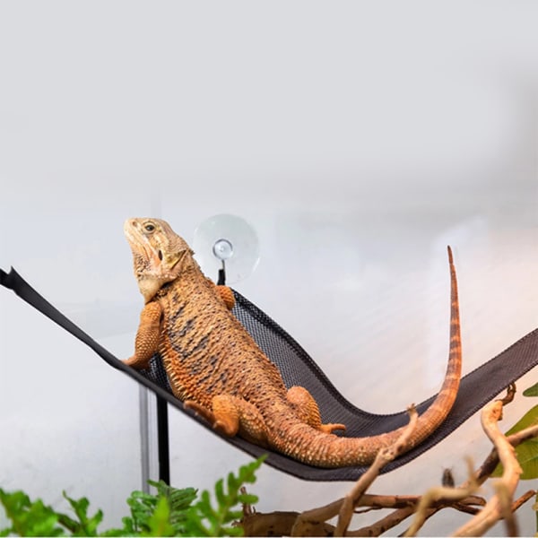 Andningsbara mesh reptilhängmattor Bekväm gunga med kraftfull sugsug Lämplig för ödlorm S