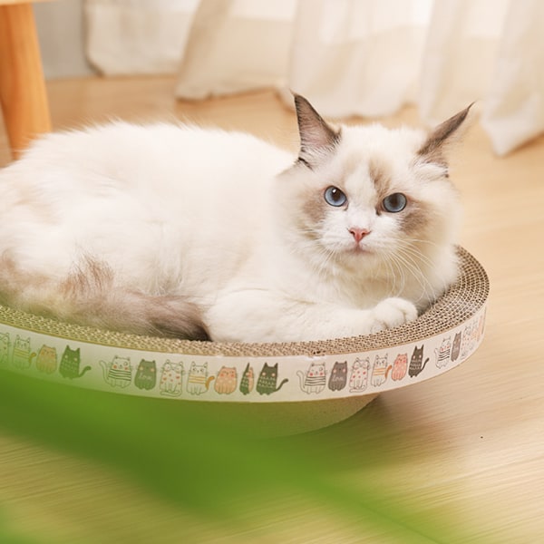 Skålformad kattskrapbräda med fiskleksaker Roliga bettsäker träning Kattleksaker för kattungar Katt husdjur elliptic Small