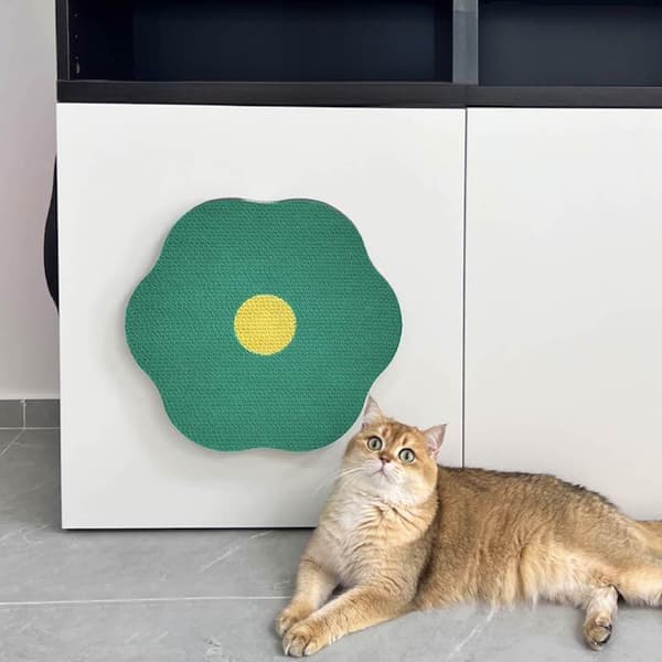 Färgglada serier Kattskrapbräda Främjar hälsa Klapvanor Kattleksakspresent till kattälskare E