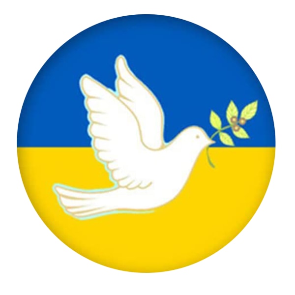 Ukraina Flagga Badge Internationell politisk syn Metall Pin Button För Klädväska 2
