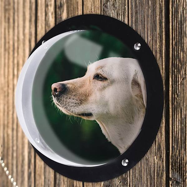 Hundstaket Fönster frisikt Kupol Pet Peek-fönster Extra stor storlek för hund Katt Häst även barn White Transparent