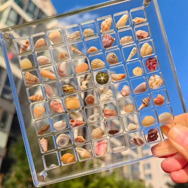 Akryl Magnetisk Seashell Display Box Multi-purpose Craft Dekorativt ställ för ädelstenar
