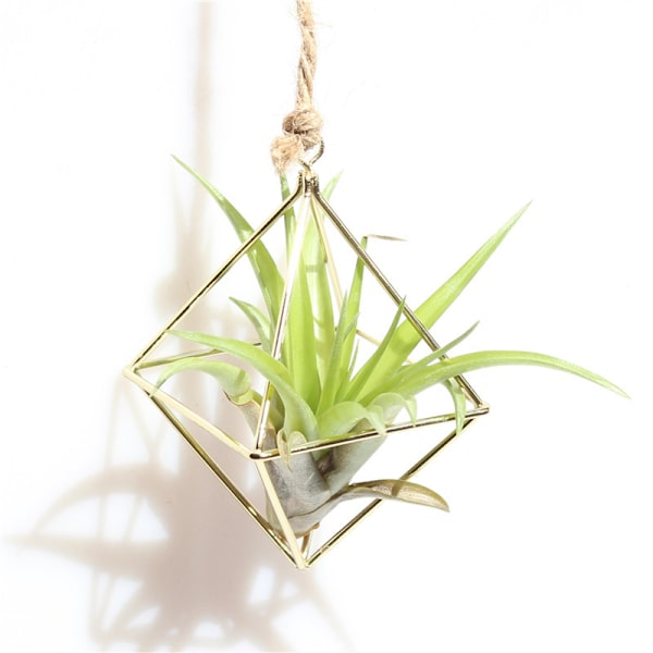 Enkelt Mini Iron Flower Stand Suckulent Blomsterhylla Blomkruka För Desktop Balkong Dekoration Gold With Ring