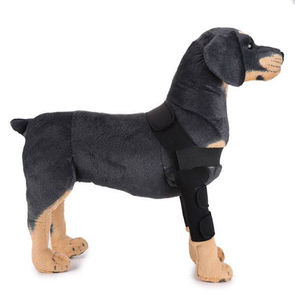 Hundbensskydd för framben, kompressionsbandage, ger extra stöd för hasleden, justerbar, hundvård Red Second Generation M