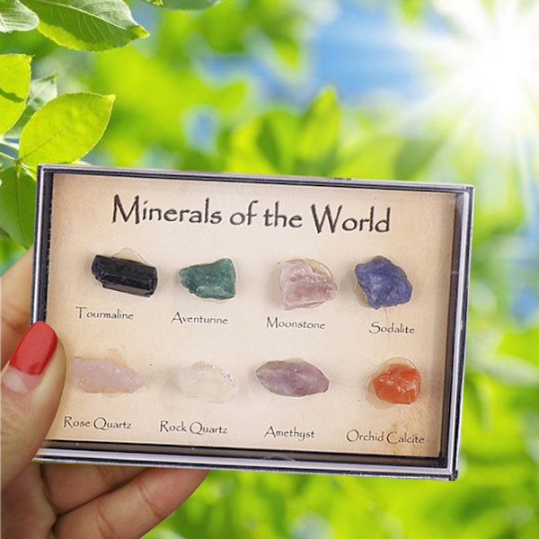 Set med 8 mini naturliga malmprover blandade stenstilsprov Lucky Rock Collection Present för barn och geologientusiaster