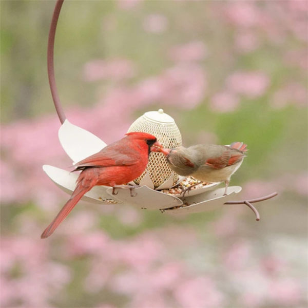 Flower Design Birds Feeder Metal Innovativ matare för att mata fåglar med vatten Fuchsia