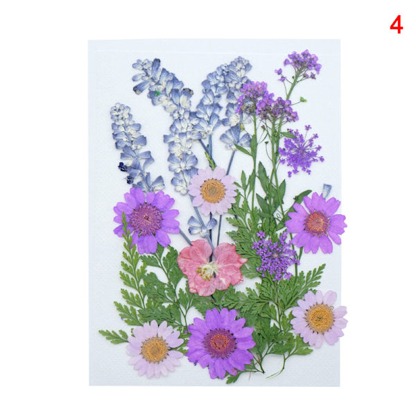 20-25 st/förpackning Riktiga torkade pressade blommor Bladväxt Blandade färgglada blomblad Kronblad För gör-det-själv-hantverk Make-up