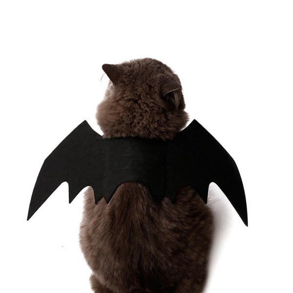 Husdjurshund Katt Fladdermusvinge Cosplay Prop Halloween Fladdermus Fancy Dress Kostym Outfit Wings Black