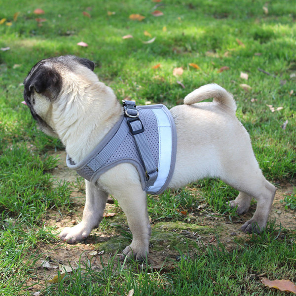 Hundsele Väst reflekterande promenadkoppel för hundvalp Andas mesh Gray XL