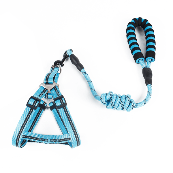 Handsfree husdjurskoppel för promenader löpning Reflekterande justerbart nylon midjebälte hundträning dragrep Blue 1.2cm
