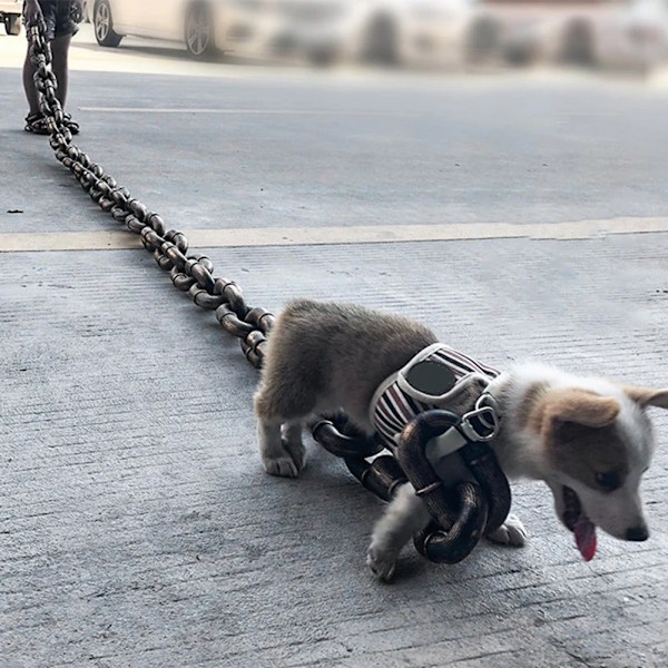 Rolig hundkoppel Simulering Livsliknande Järnkedja Lätt Plast Dragrep För Hundpromenader Silver Large 1.5 M