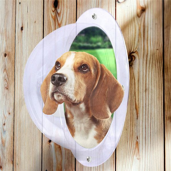Hundstaket Fönster frisikt Kupol Pet Peek-fönster Extra stor storlek för hund Katt Häst även barn White Transparent