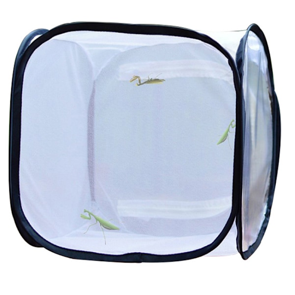 Vikbar Insekt Habitat Bur Fröplanta Ljusöverföring Nettält Växthus 30*30*30
