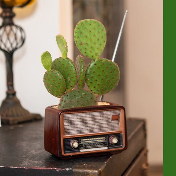 Creative Planter Kruka Retro Radioformad Blomkruka Multi Purpose Resin Succulent Bonsai Planthållare Ornament för kontor Dark Brown