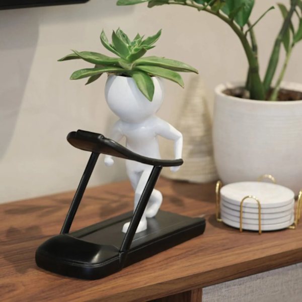 Roliga suckulenter Växter Sportkrukor Dekor Multi-purpose Små växter Stativ för hemrum kontor Running