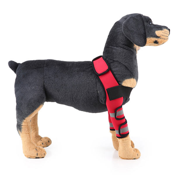 Hundbensskydd för framben, kompressionsbandage, ger extra stöd för hasleden, justerbar, hundvård Blue Second Generation L
